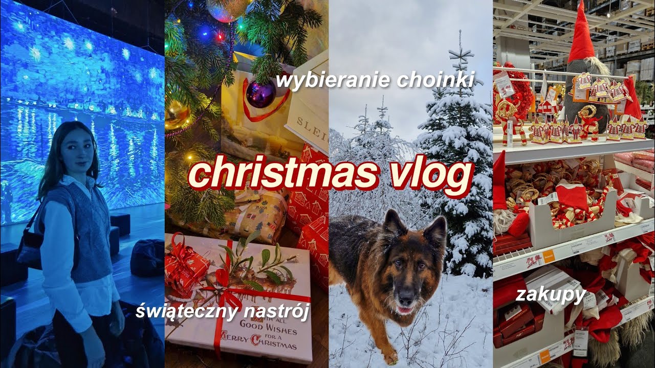 ŚWIĄTECZNY VLOG | przygotowania do świąt, kupowanie choinki, jarmark bożonarodzeniowy