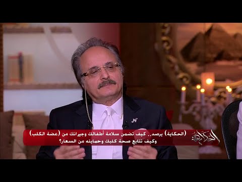 هل خربشة الكلب زى العضة رئيس وحدة الرفق بالحيوان يوضح