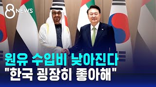 원유 수입비 낮아진다…아랍에미리트 대통령, "한국 굉장히 좋아해" / SBS 8뉴스 screenshot 5