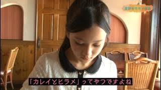 Hoshino Minami Bonus DVD