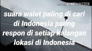 SP, Joker delima999 suara panggil burung walet