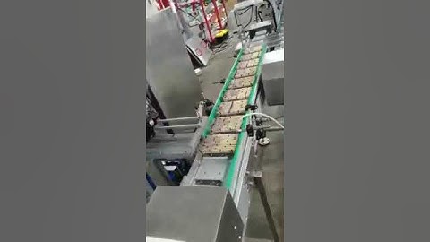 High Precision Stick Strip Sachet Multi Channel Checkweigher for Multi Lane Packaging Machines