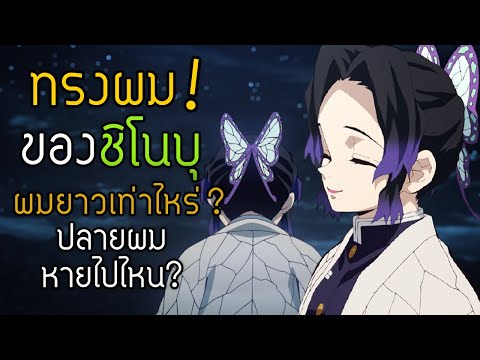 ว่าด้วยเรื่อง"ทรงผมของชิโนบุ" | Kimetsu no Yaiba ดาบพิฆาตอสูร