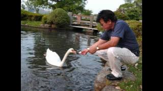 movie_0005. BIAR MAMA BIAR PAPA PELE JALANKU. wmv