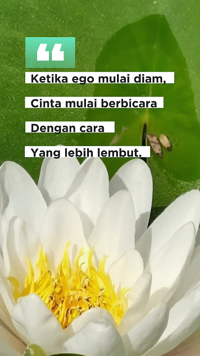 Download lagu #shortvideo