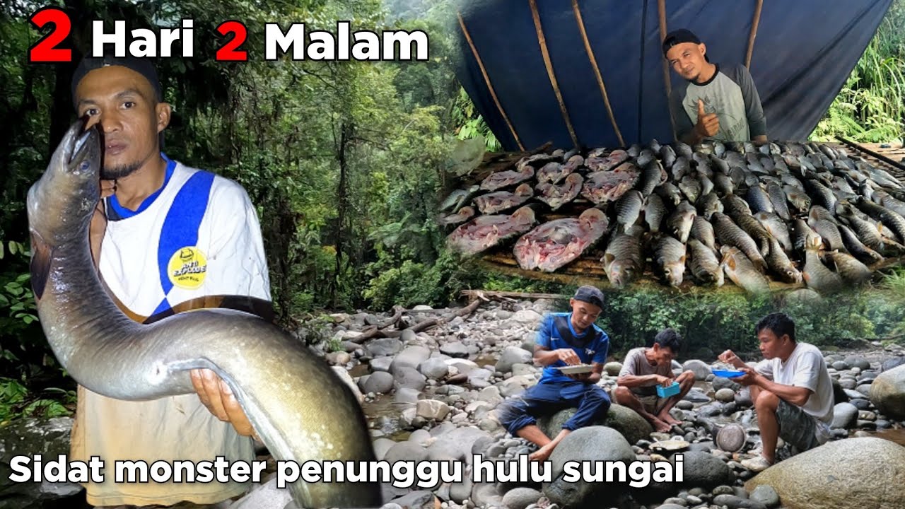 2 Hari Dua Malam Dalam Rimba Petualangan Diguyur Hujan Deras Ada Sidat Monster Kali Ini