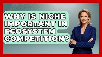 Why Is Niche Important In Ecosystem Competition? - Explaining Ecology