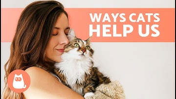 10 THINGS YOUR CAT DOES FOR YOU (and You Don