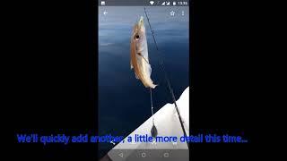 Fishing Diary - Offline Fish Log With Data Export For Google Earth And GPS screenshot 1