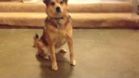 Contextual Cues and the Matching Law