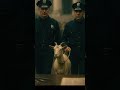 This Goat Was Put on Trial for Armed Robbery 😳🧠