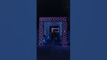 Step into the Light of Forever: Illuminated Tunnel Entrance for Wedding by Matrix Engineering