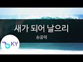 새가 되어 날으리 송골매 Song Gol Mae KY 92996 KY Karaoke