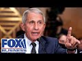 Dr. Fauci exposed the 'incompetence' of federal government: Whiton