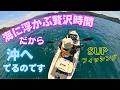 SUPフィッシング編:みすぼらしい釣果でも沖で浮かぶことが贅沢です。