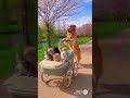 Golden retriever collection #goldenretreiver #pets #goldenretreivers #cute #puppy #funny #animals