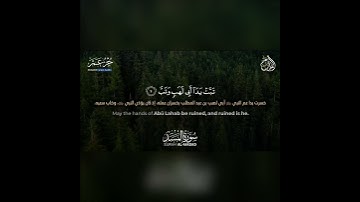 سورة المسد بصوت القارئ اسلام صبحي