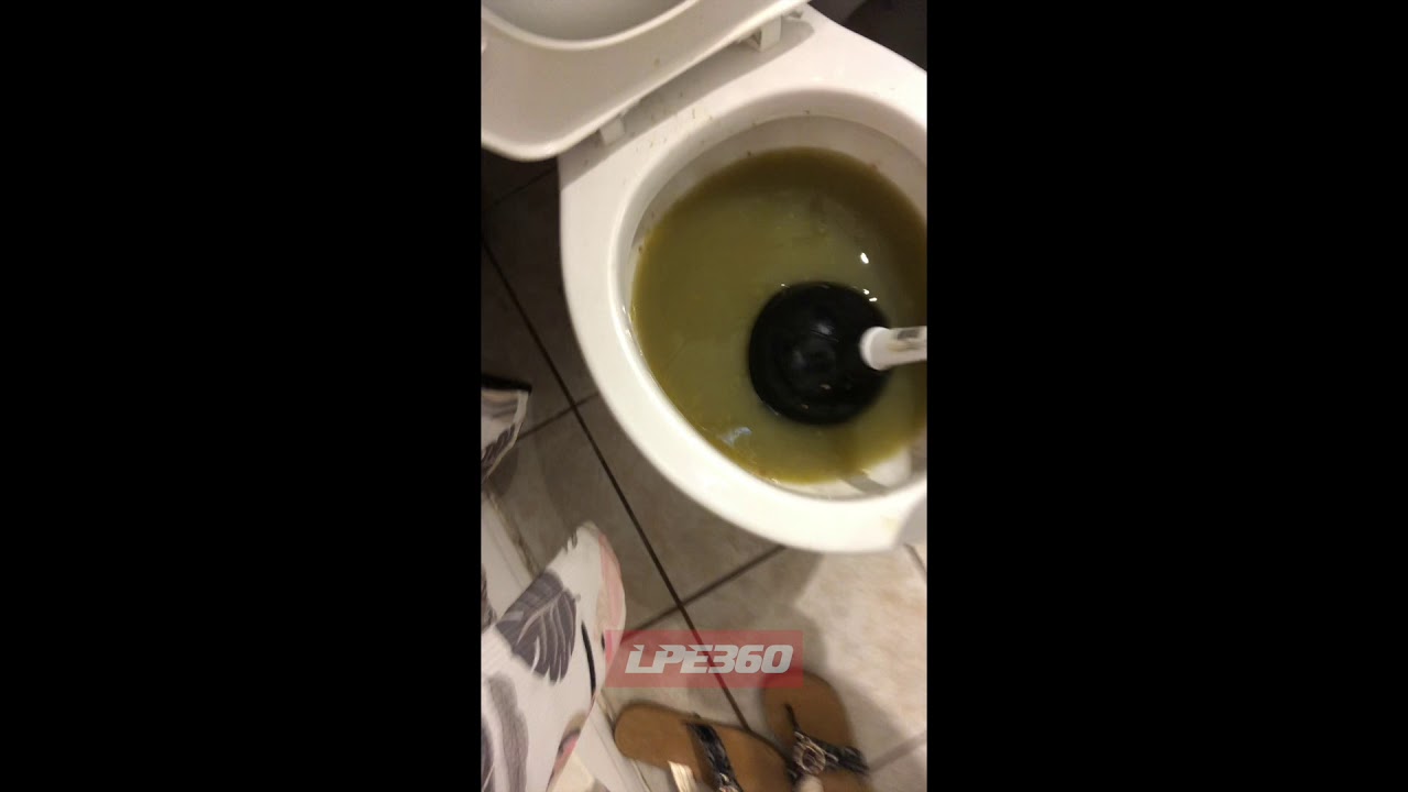 failure meaning in bengali Toilet panic face