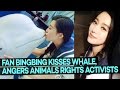 Fan Bingbing Kisses Whale, Angers Animals Rights Activists