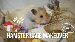 HAMSTER CAGE MAKEOVER PART 2  SET UP MY HAMSTERS CAGE WITH ME