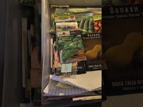 New Beginning!  #survivalseedscollab26 #growwhatueat26 #seeds #subscribe #grow #vegetables #food