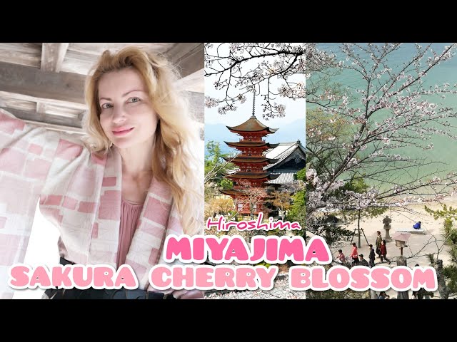 【AAKE】BLOSSOM SEE-THROUGH JP Adeyto 🌸⛩️ SAKURA MIYAJIMA CHERRY BLOSSOM Pagoda GOJUNOTO