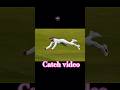 cricket video IPL match catch video fact sport match #gaming #trending #shorts ##sports
