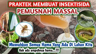 TUMPAS HABIS SEMUA HAMA - PAKAI INSEKTISIDA PEMUSNAH MASSAL,TANAMAN JADI MULUS SEMUA