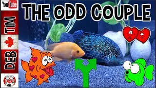 JACK DEMPSEY AND RED DEVIL TANKMATES
