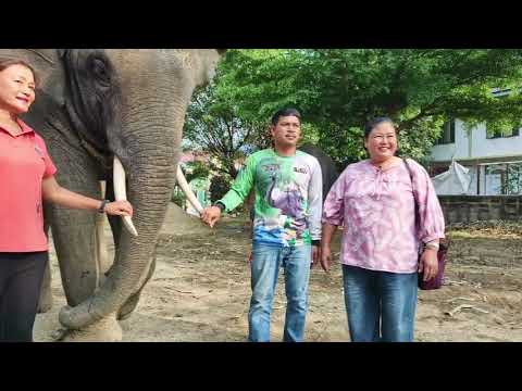 Live🙏fcจะกลับเเล้ว‼️