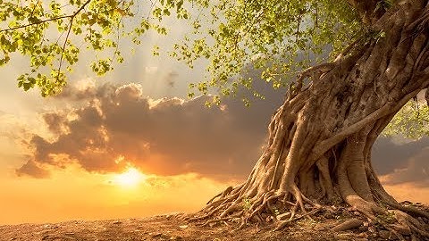 GOOD MORNING MUSIC ➤ 528 Hz Strong Positive Energy ➤ Wake Up Meditation Music - Spiritual Morning