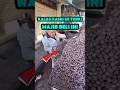 Wajib dibeli kalau pergi ke Turki. #faktaunik #faktamenarik #kuliner