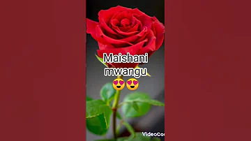 Sms Nzuri Kwa Mpenzi Wako 