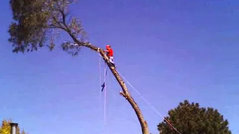 John Simonsen Aspiring Climbing Arborist