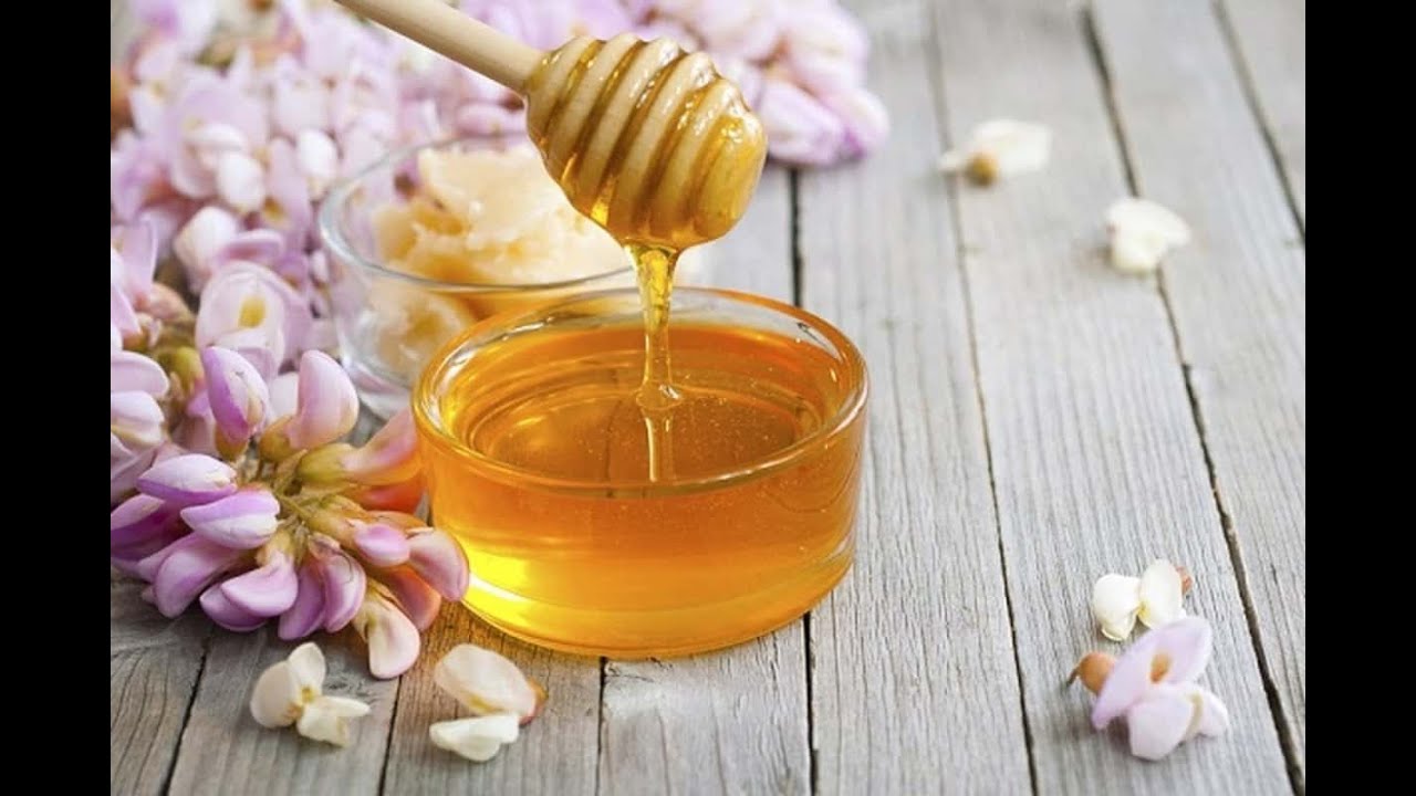 Bagremov med i njegova lekovita svojstva -  Prof dr MIća Mladenović