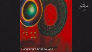 Descendant - Shadow Grid (Original Mix)