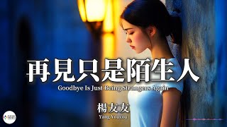楊友友 - 再見只是陌生人（原唱：莊心妍）【Pinyin   Eng Sub | AI音樂視頻 | 繁體拼音英文動態字幕】Yang You You 【杨友友 - 再见只是陌生人】