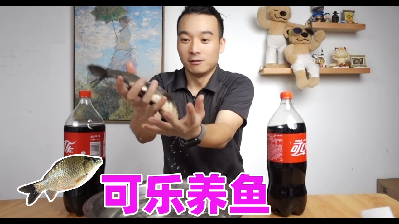 小夥用可樂養魚 最後魚怎麽樣了 Youtube 小夥用可樂養魚 最後魚怎麽樣了 Youtube