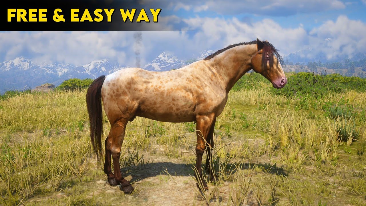 Proper Way To Get Free Missouri Fox Trotter Horse Early RDR2 YouTube