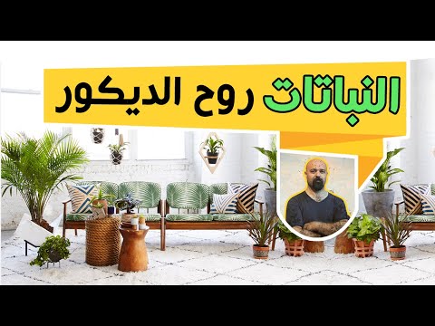 14 فكرة لتوزيع النباتات داخل المنزل وترتيبه .