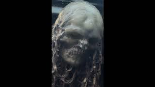 DJ Nikadeemas - The Whipgraft Delusion