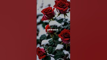 Mahashivaratri status ❤️ shivshakti status video 💫 shiv status #shorts