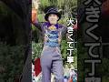 引き込まれる目線と高身長から繰り出される大きくて丁寧なダンスの先頭ダンサーさん!! Into the Frenzy 2025 #shorts #ディズニーハロウィーン #フレンジー #インフレ