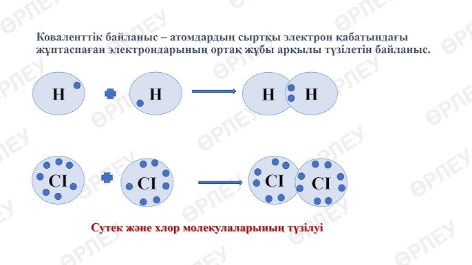 Ауған секс видео Білім беретін порно деректі фильмдер