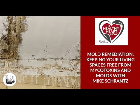 Mold Remediation: Keeping Your Living Spaces Free From Mycotoxins And Molds With Mike Schrantz