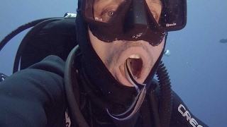 Cleaner Fish Swim Inside Divers Mouth