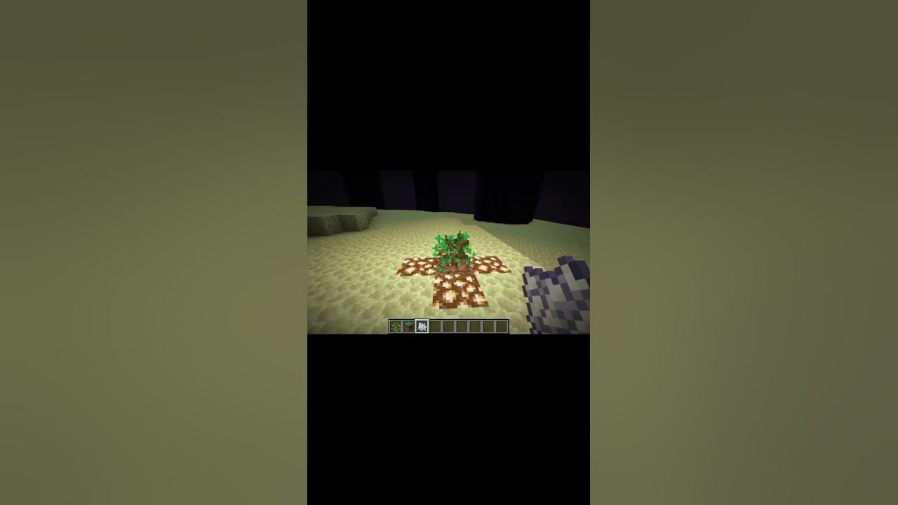 do-trees-grow-in-the-end-youtube