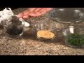 Dog Treat Recipe: Quickie Burgers - DogChannel.com Dog Treat Recipe: Quickie Burgers - DogChannel.com