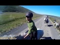 Polar Hestar - Horseback riding Iceland 2017