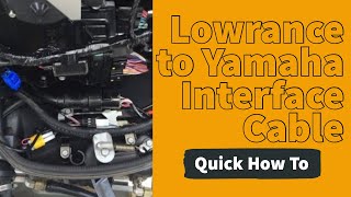 39 inch LXNAV cable Yamaha Engine to NMEA 2000 Netzwerkkabel 1 meter 